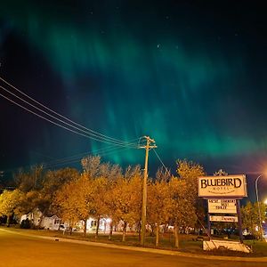 Bluebird Motel